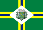 Bandeira de Paulínia